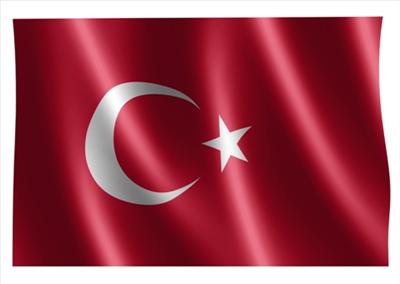 TÜRK BAYRAĞI