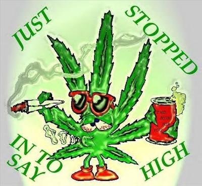 i just wanted to say high
