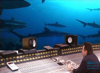 Aqualise in studio