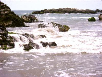 Pacific Ocean SPLASH by Luciana Amado