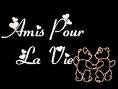 Amies