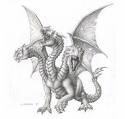 King black dragon