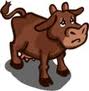 brown cow