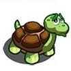 sea turtle