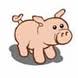 pig