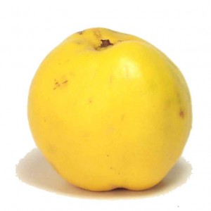 ayva
