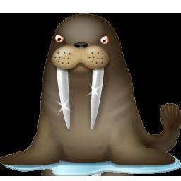 Morsa