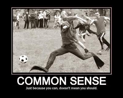 CommonSense
