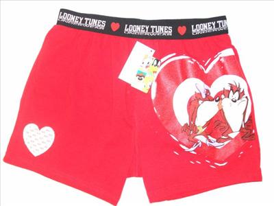Boxer
