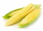 Bundle of corn