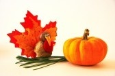 Mini Turkey and pumpkin
