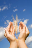 Thankful Hands