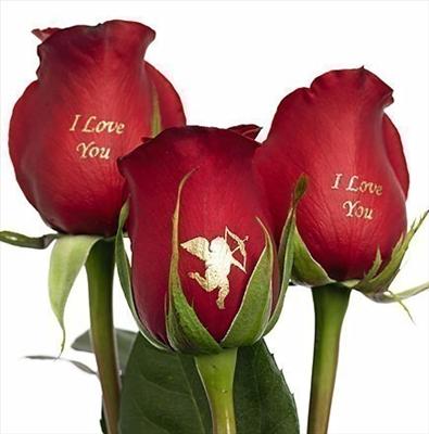 ı love you