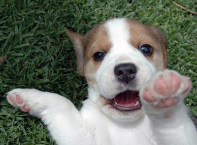 YOU!