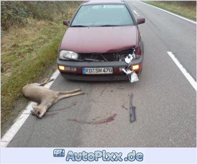 SCHROT ?