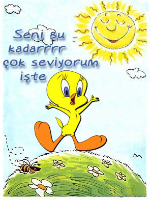 Bukkadar seviyom seni