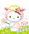 HALLO KITTY PECORELLA
