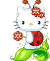 HALLO KITTY COCCINELLA