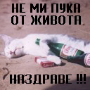 Nazdrave!!!