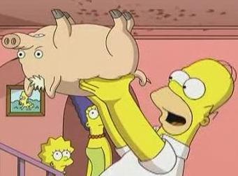 le Spider cochon