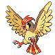 Pidgeyotto