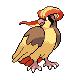 Pidgeot