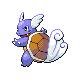 wartortle