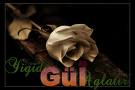 gül