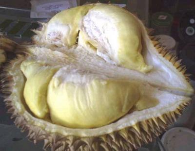 ทุเรียน