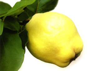 Ayva