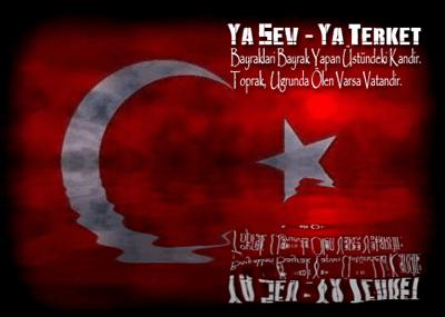  TÜRK BAYRAĞI