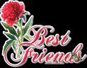 A Rose For A Friend