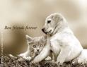 Friends Till The End