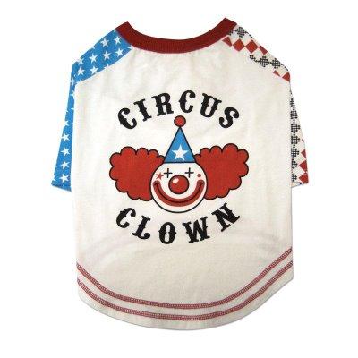 Camiseta última moda