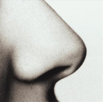 Nose