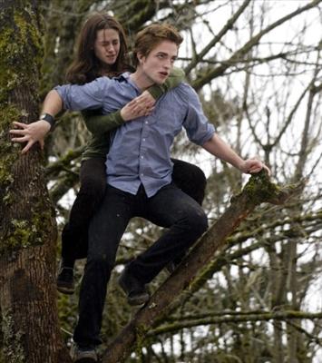 Twilight