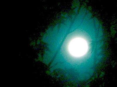 Moonlit run