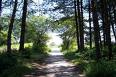 Netherlands - Hilversum