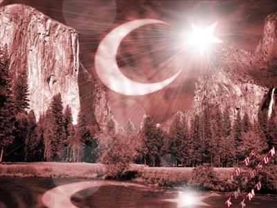 bayrak