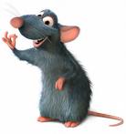rat