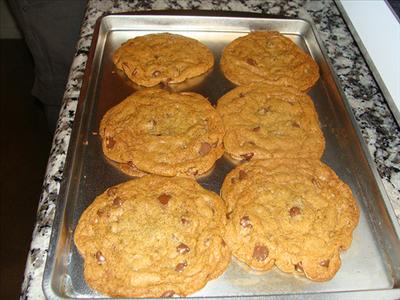 Chocolate chip cannabutter cookies