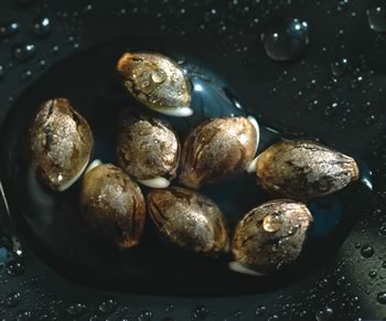 Sprouted seeds