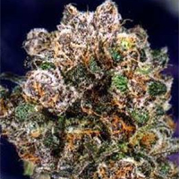 1oz. Blueberry