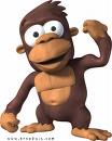 Monkey