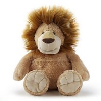 Aslan