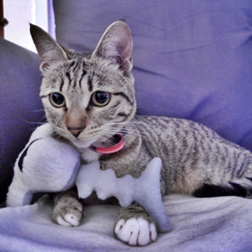 Maomi with bone