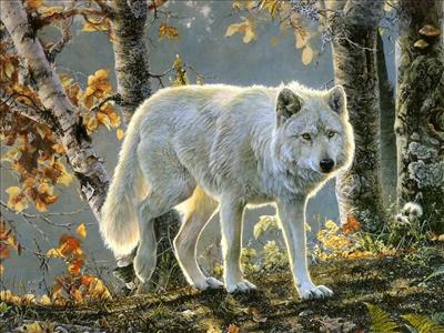Alpha Female