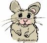 Hamster