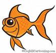 Goldfish