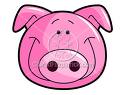 pig